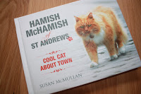 Hamish McHamish - celebrity St Andrews cat