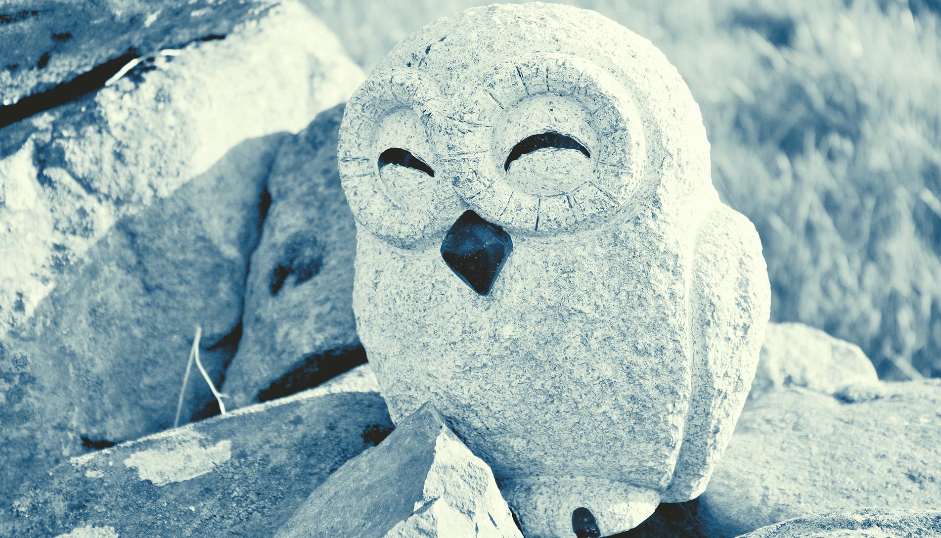 blueowl