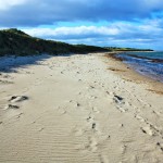 Kingsbarns Beach