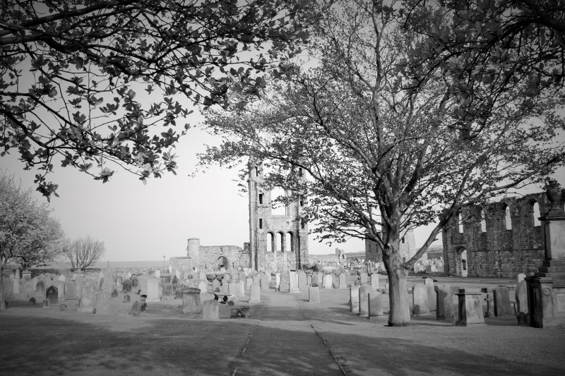 Spooky St Andrews