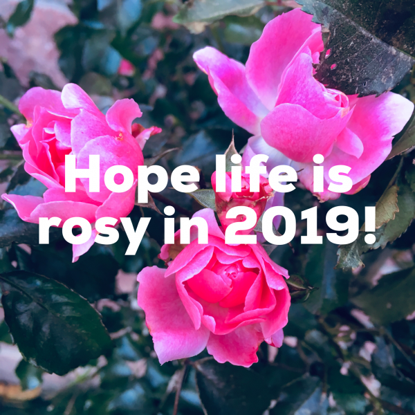 lifeisrosy2019